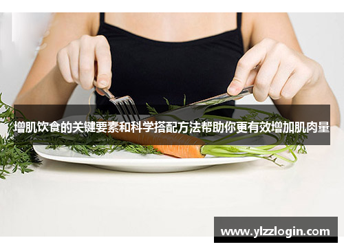 增肌饮食的关键要素和科学搭配方法帮助你更有效增加肌肉量